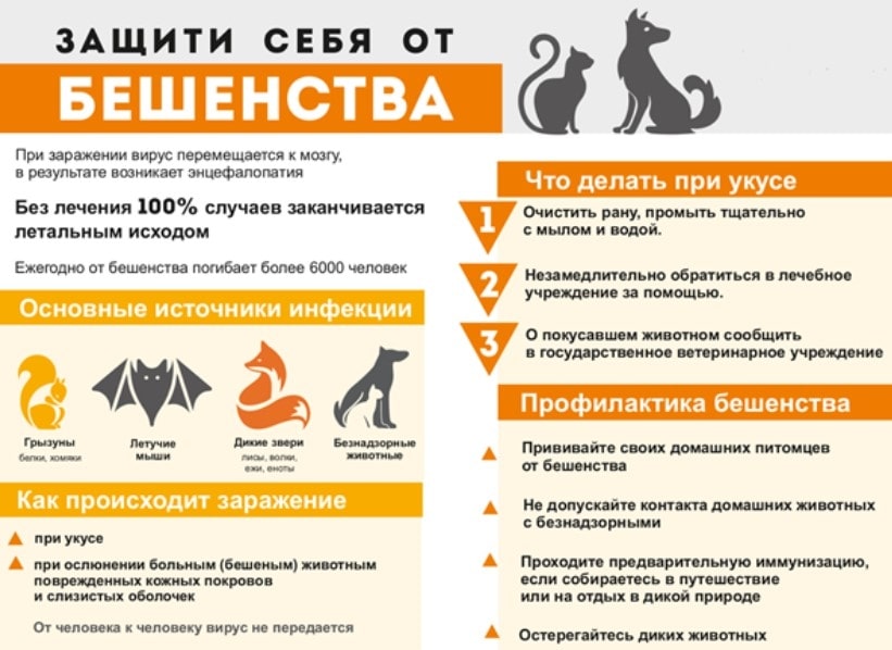 день